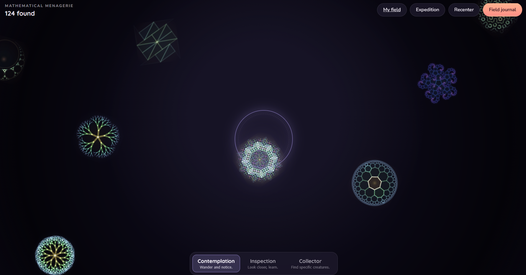 The Infinite Field